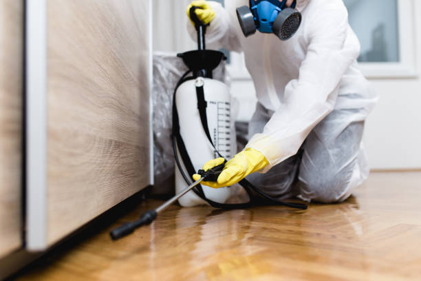 Best Bed Bug Extermination  in Start, LA