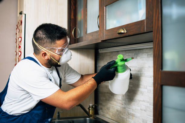 Best Ant Control Services  in Start, LA