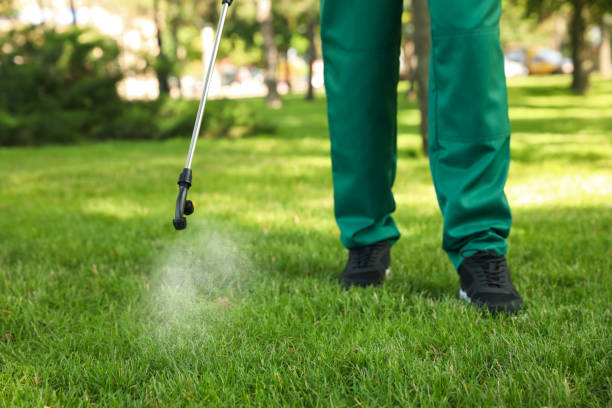 Best Residential Pest Control  in Start, LA