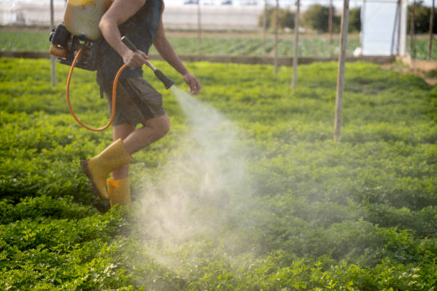 Best Wildlife Control Services  in Start, LA