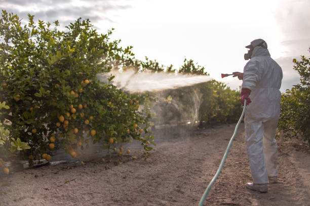 Best Pest Control Near Me  in Start, LA
