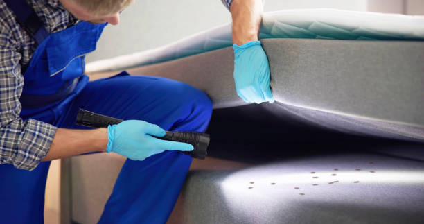 Best Affordable Pest Control Services  in Start, LA