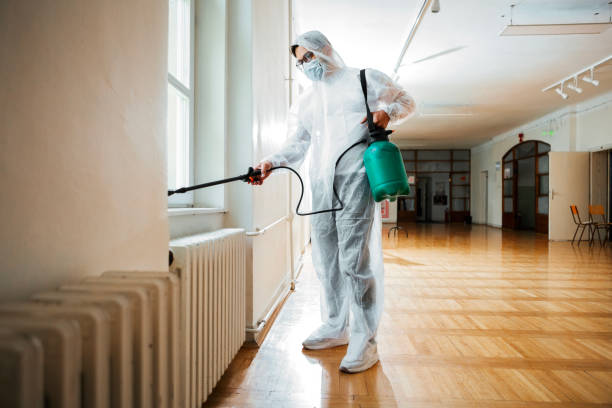 Wasp Removal Services in Start, LA